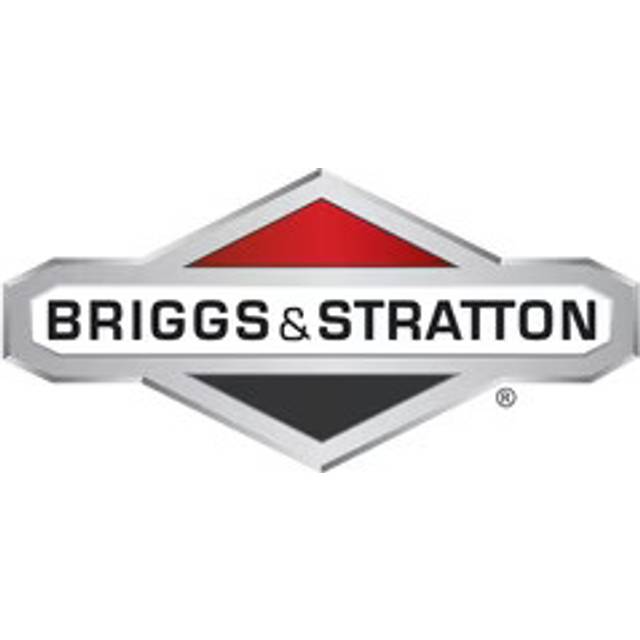 Briggs & Stratton Karburator.