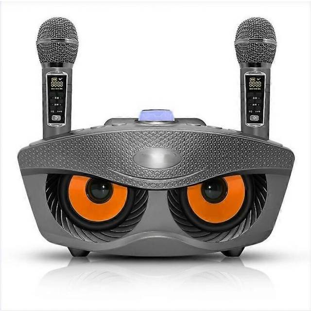 Karaoke Machine Portable Bluetooth Speaker System
