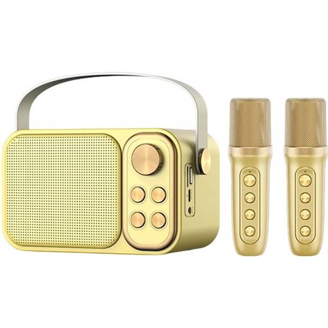 Karaoke Machine Portable Speaker System