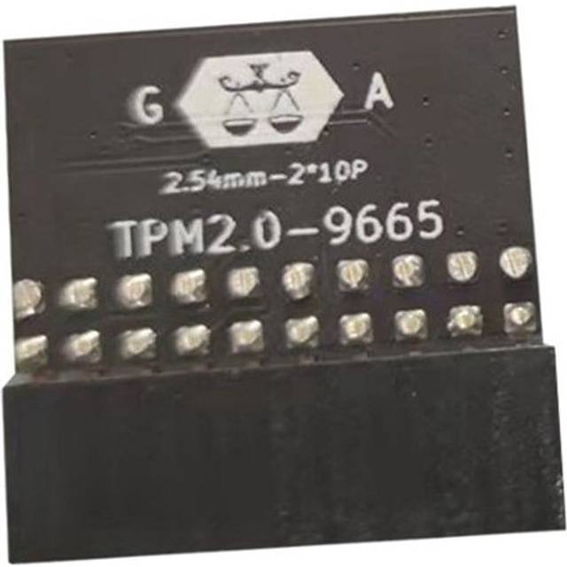 Torribaly LPC 20Pin Protection Module for TPM-L R2.0 Gigabyte GC-TPM2.0