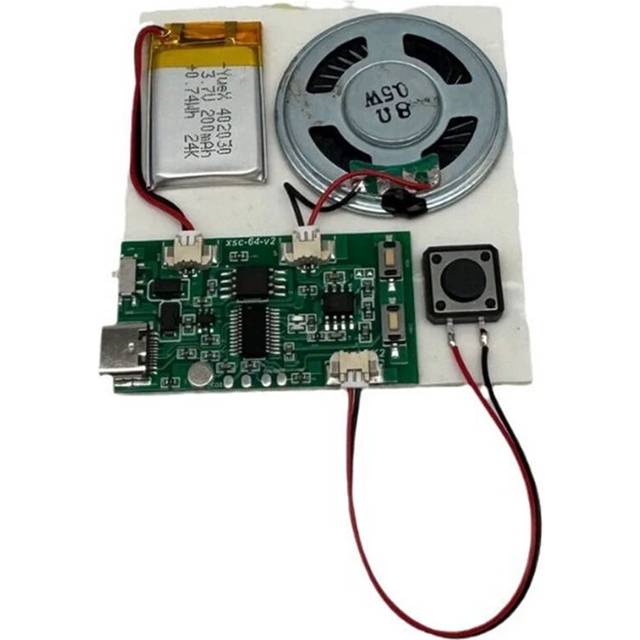 DIY Recording Module USB Recordable