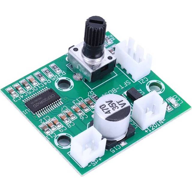 Torribaly 60W High Power Mono Amplifier Module