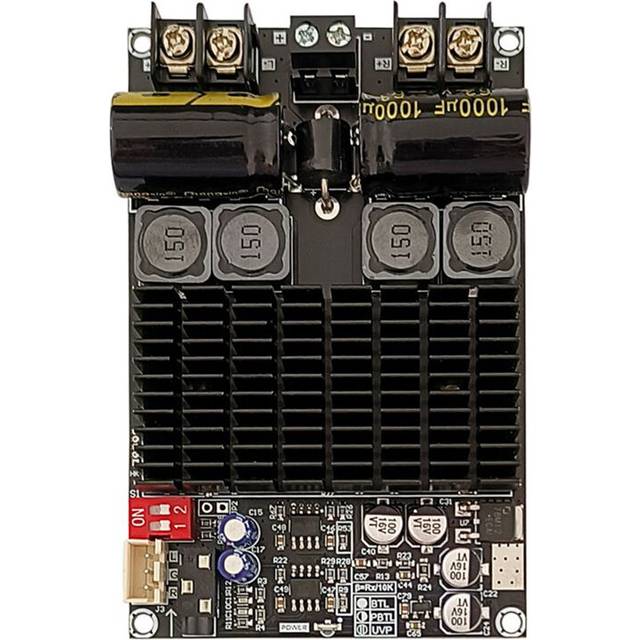 Torribaly Digital Amplifier Board Module 2001 Rear Stage